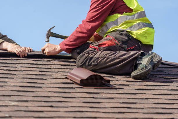 Best Gutter Installation and Roofing  in Franklin, NJ