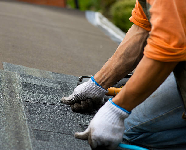 Best Storm Damage Roof Repair  in Franklin, NJ